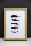 Fem mørkegrå fjer A5