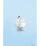 svane│original 50x70