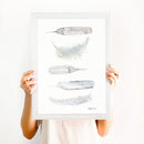 Fem hvide fjer 30x40